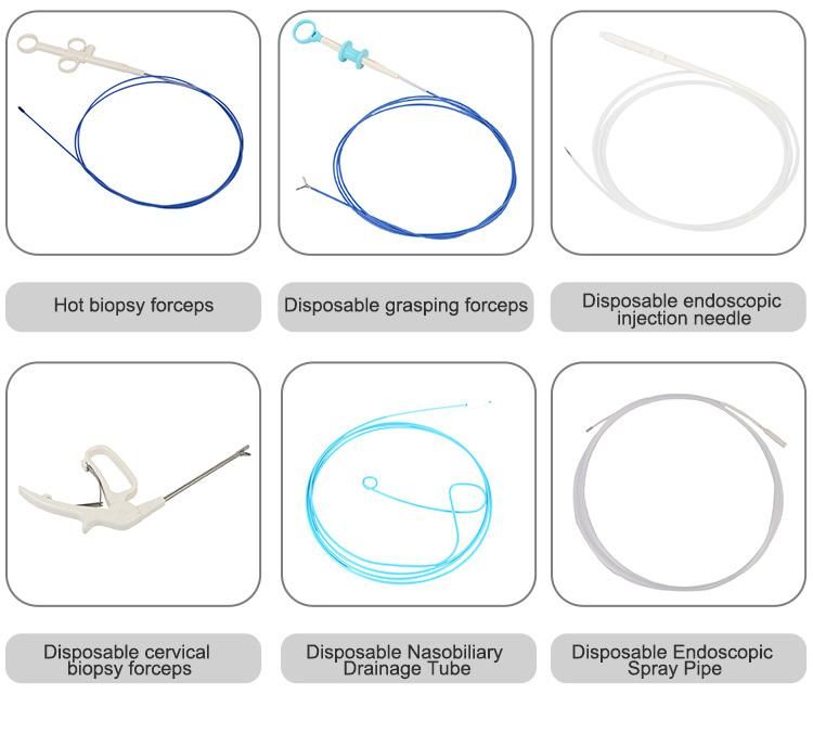 Disposable Rotatable Endoscopic Biopsy Forceps with 360 Degrees Direction Rotation Coated or Uncoated