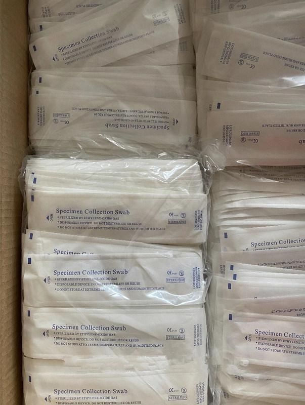 Medical Supply Oral Swab for Disposable Specimen Colleaction Swab