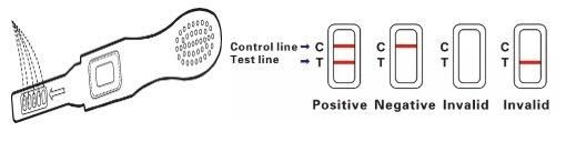 China Competitive Price Producing HCG Midstream Test Stick