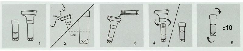 High Quality Disposable Saliva Collection Kit Saliva Collection and Transport System with CE Certificate