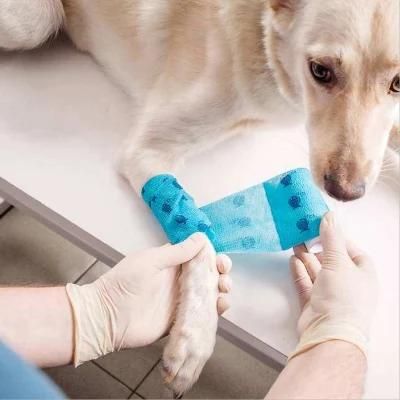 Wal-Mart Supplier Pet Care Sports Self Adhesive Colored Elastic Cohesive Bandage