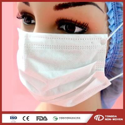 Fast Shipping 2 Ply Disposable Non-Woven Face Mask