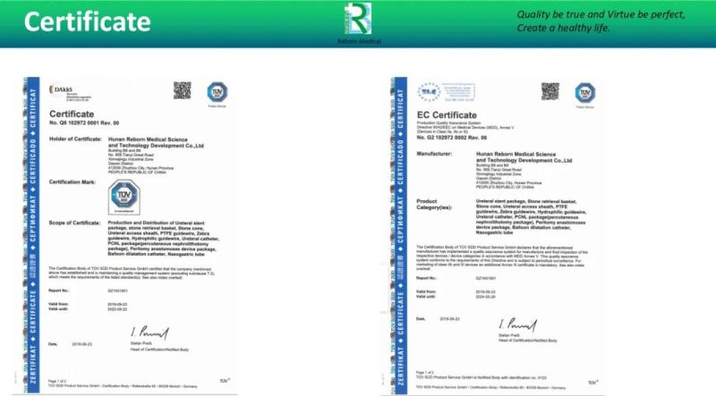 Ureteral Dilation Ce Certificated Ureteral Access Sheath
