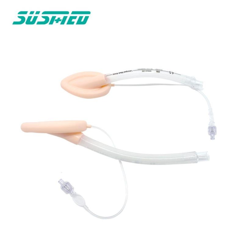 Cheap Disposable Double Lumen Laryngeal Mask Airway