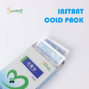 Wholesale Insulated Dry Cold Cooler Bag Custom Ice Cream Food Freezer Gel Ice Packs