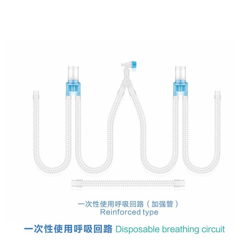 Breathing Circuit with Valve