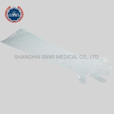 Disposable Plastic Gloves for Medical Use