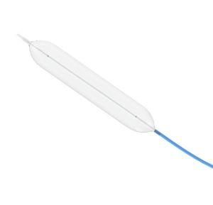 Single Use Ercp Dilation Balloon Catheter