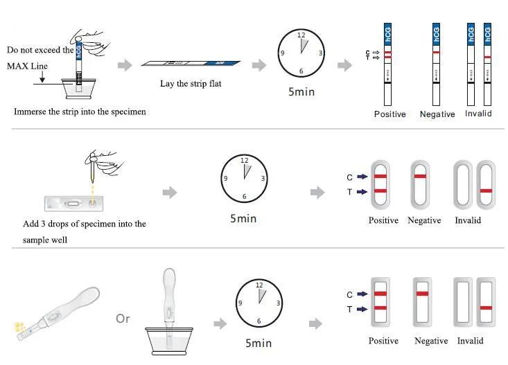 The Test for Rapid Detection of Early Pregnancy HCG in Sheep Stored at Room Temperature Has High Detection and Judgment Accuracy