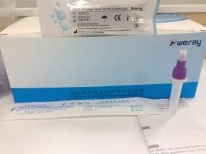 Antigen Rapid Test Kits