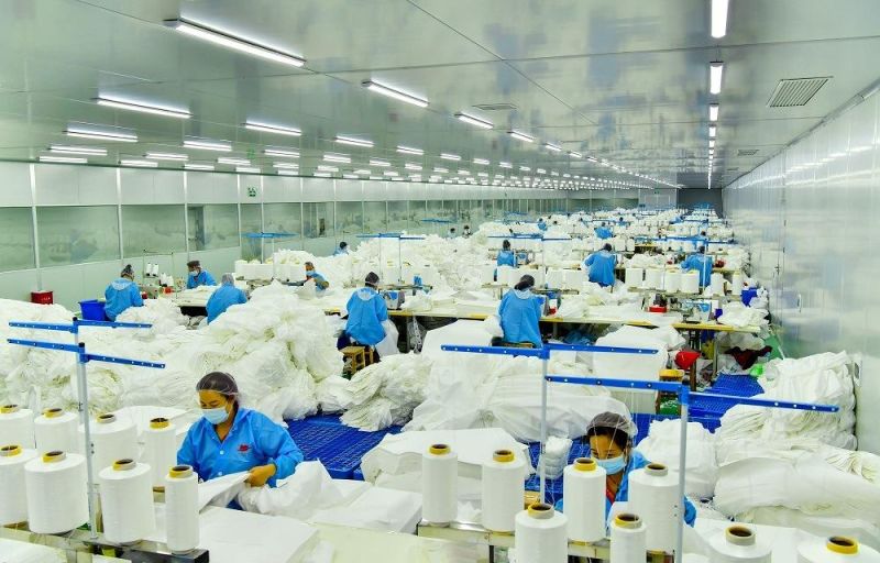 Disposable Fish-Shaped Face Masks for South Korea Market