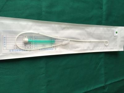 Pig Tail Consumable Ureteral Stent