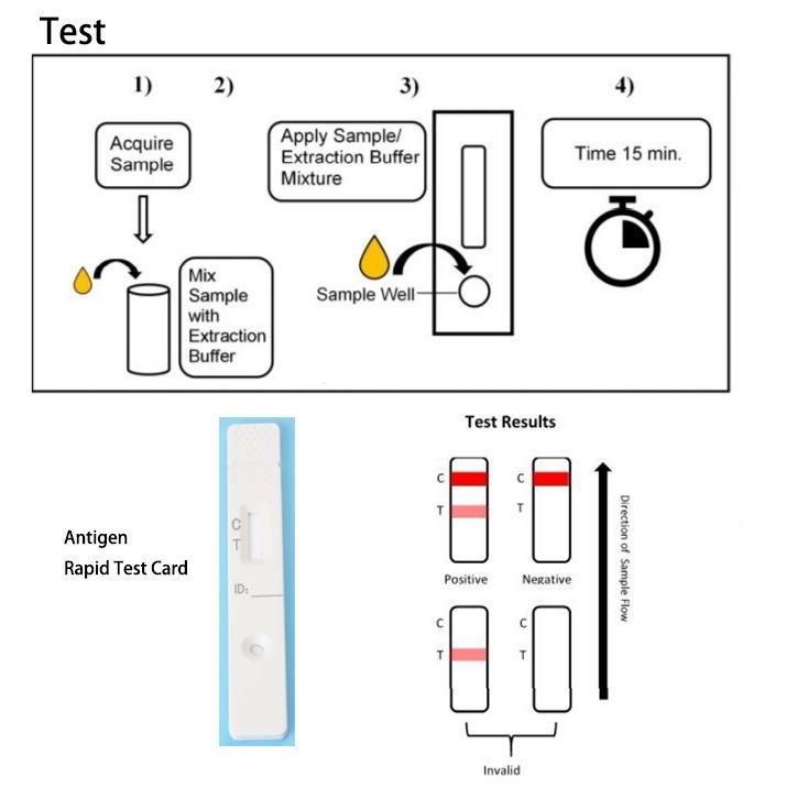 Infectious Virus Detection Cassettes Rapid Antigen Diagnostic Home Test Kits