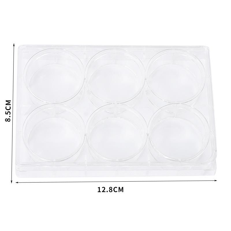 High Quality Wholesale Lab Instrument Plastic Transparent 6 Well Cell Plate