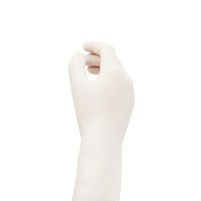 12&quot; Disposable Medical Latex Surgical Glove with Powder Free 270mm