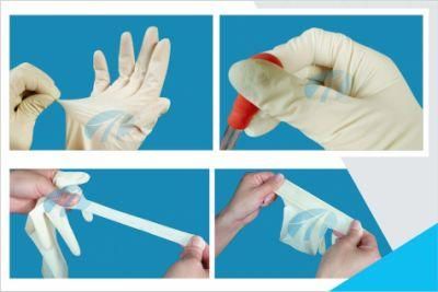 Sterile Latex Surgical Gloves Nitrile Gloves