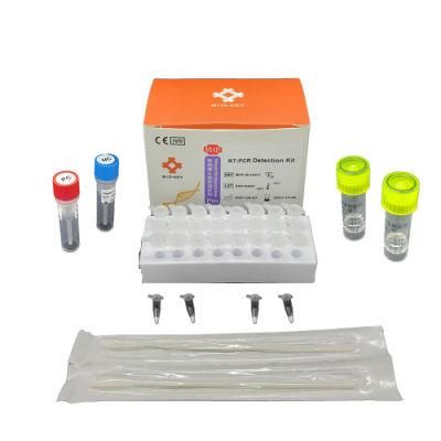 Hot Selling Professional Molecular Diagnostic Fluorescent Quantitative PCR Detection Kit