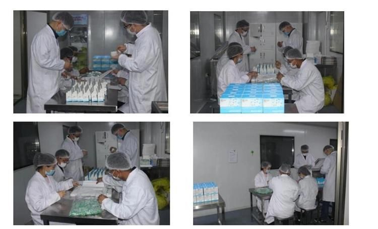 Human Parainfluenza Virus Type 3 Nucleic Acid Detection Kit