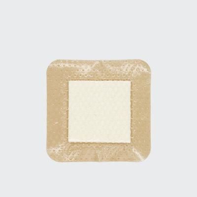 Experienced Medical Foam Dressing Indication Pressure Ulcers Chronic Acute Wounds