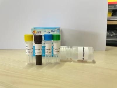 Avian Influenza Virus H7n7 Subtype Dual Nucleic Acid Detection PCR Kit