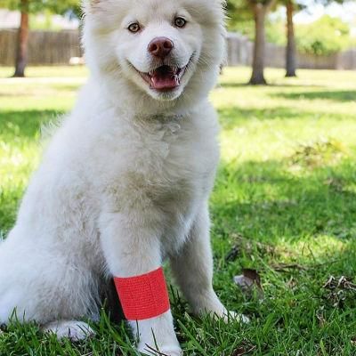 Pop Patterned Elastic Pattern Adhesive Cohesive Vet Sports Wrap Bandage