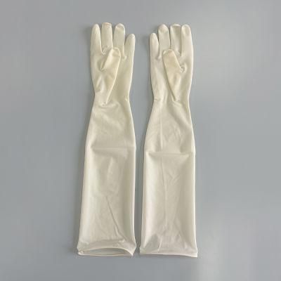 Powder and Powder Free Gynecology Latex Gloves