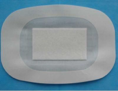 Surgical Transparent Wound Dressing with Pet Backing Manufacturer