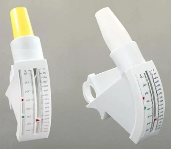 Hot Sale High Quality Approved Medical Portable Spirometer Peak Flow Meter