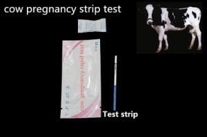 Animal Pregnancy Test Strip One Step Rapid Cow Dairy Pregnancy Urine Test Kit