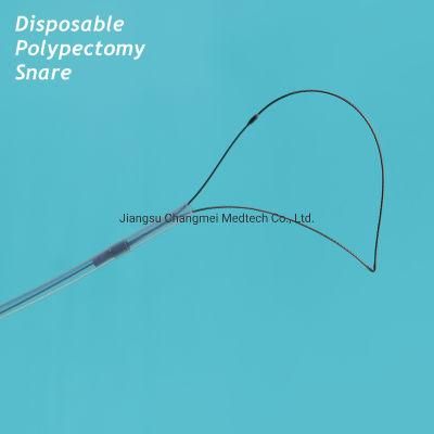 Disposable Polypectomy Snares in Various Shapes and Sizes