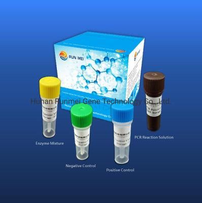 Preloading Kit for Nucleic Acid Detection of Bacillus Pertussis