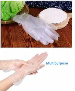 Disposable Vinyl Gloves for Food Service Personal Protective Powdered Vinyl Gloves PVC Disposable Gloves