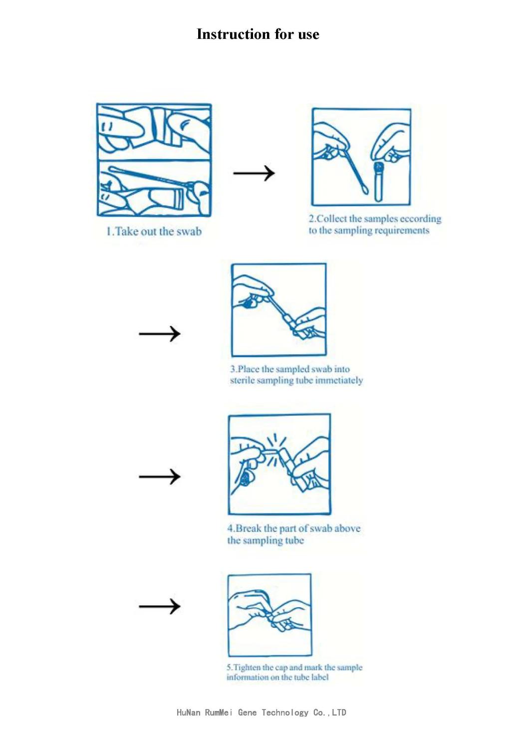 Disposable Virus Transport Medium Tube and Swab for Collection