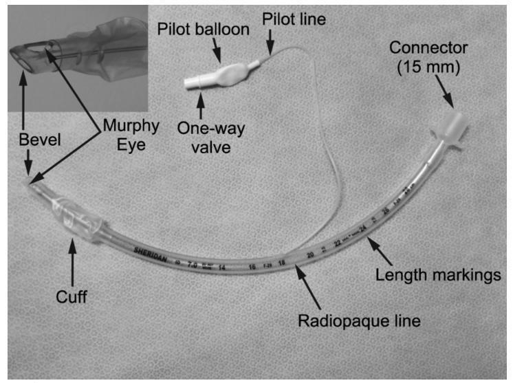 Reinforced Endotracheal Tube with Balloon Cuff Magill Curve Murphy Eye