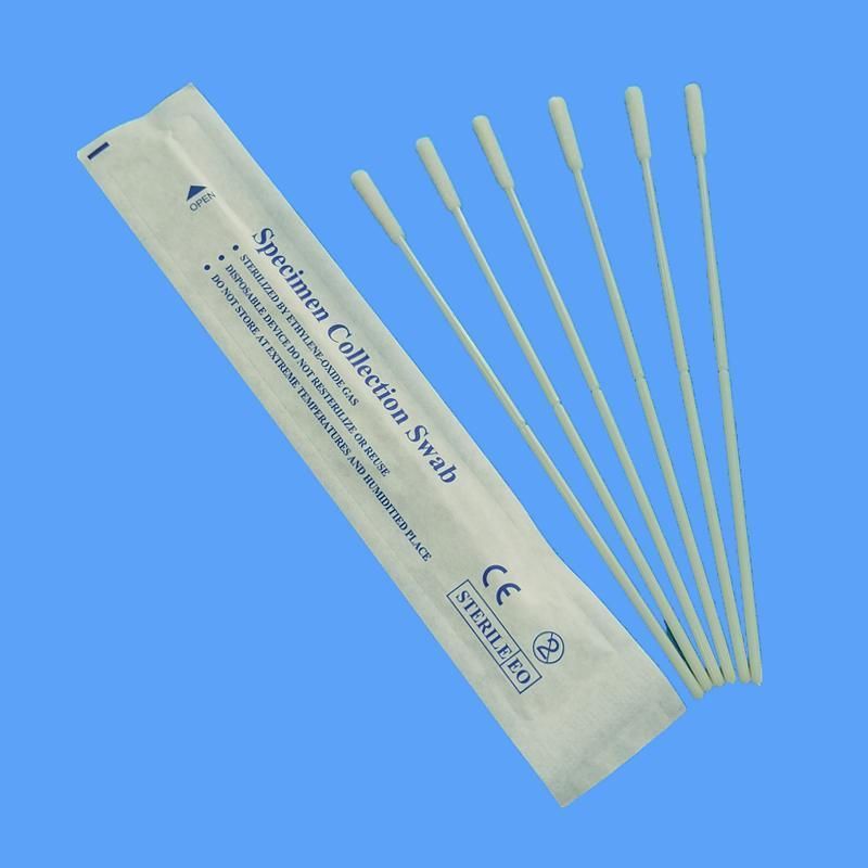Swab Disposable Medical Sterile Swab Sticks with Nylon Flocked Tip Sponge Oral Throat Nasal Cervical Urethra DNA Test