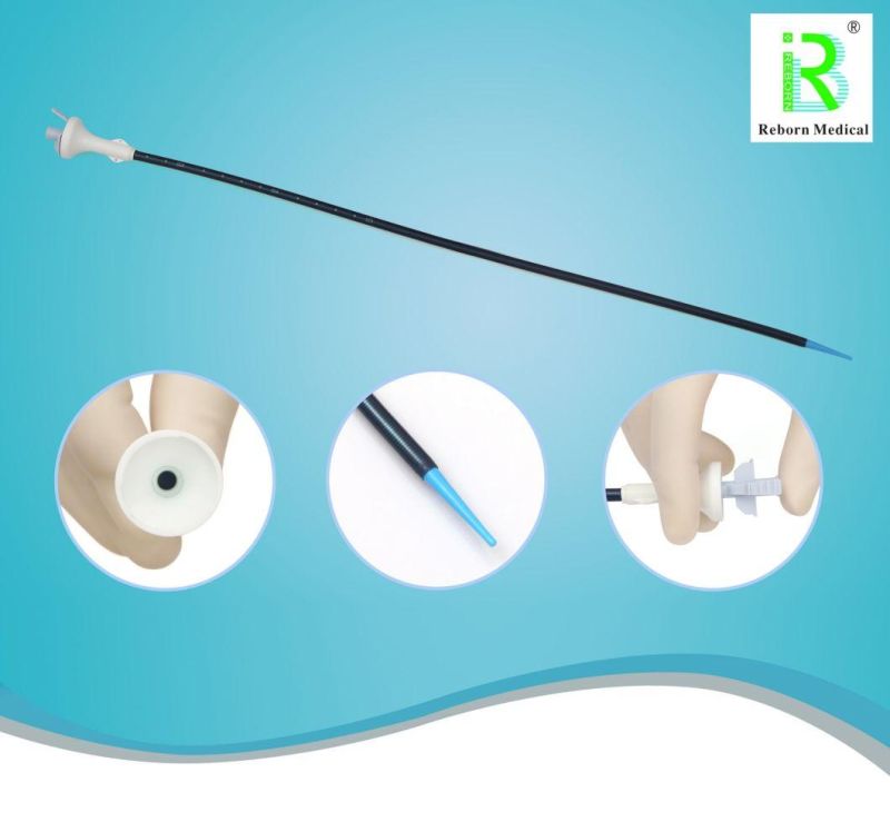 Reborn Medical Ureteral Access Sheath Hydrophilic Coating with CE Certificate