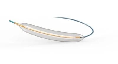 Peripheral HP Pta Balloon Dilatation Catheter Length 20~200mm