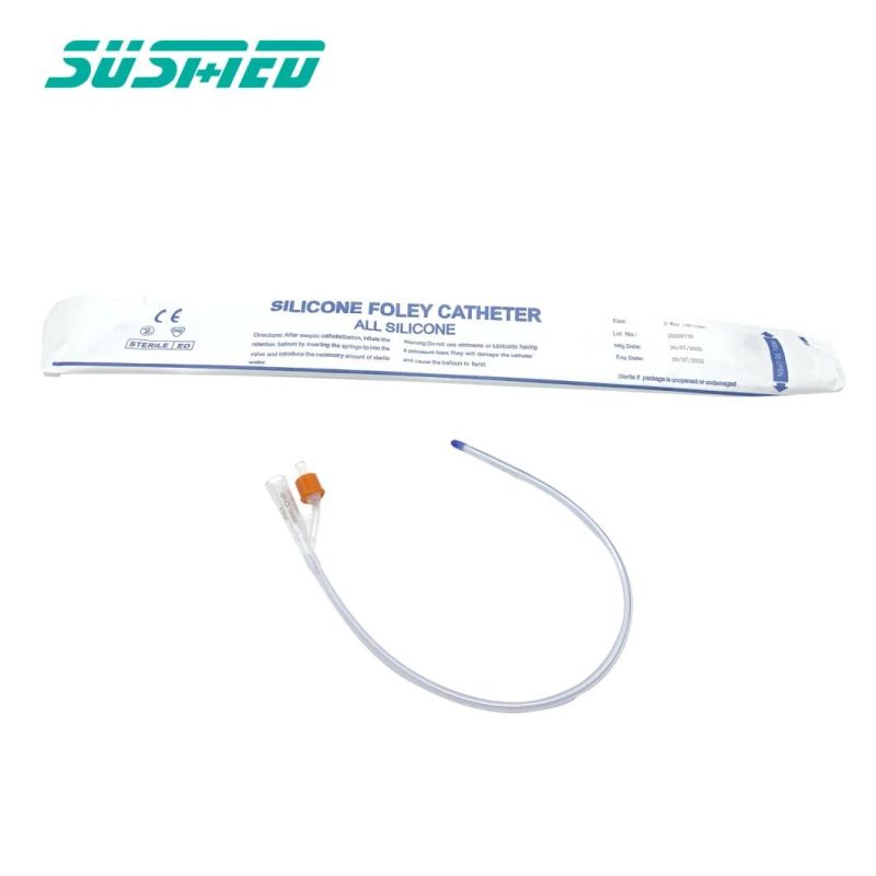 Disposable 100% All Silicone Urinary Catheter 2way 3way Foley Catheter with Size