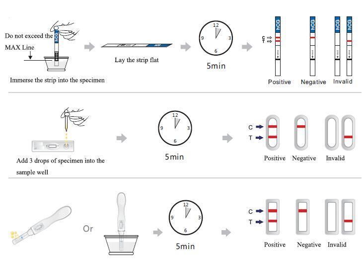 6.0mm Early Pregnancy Test Carton HCG Detection Is Easy to Carry, Convenient and Quick to Produce Results of Sheep Test