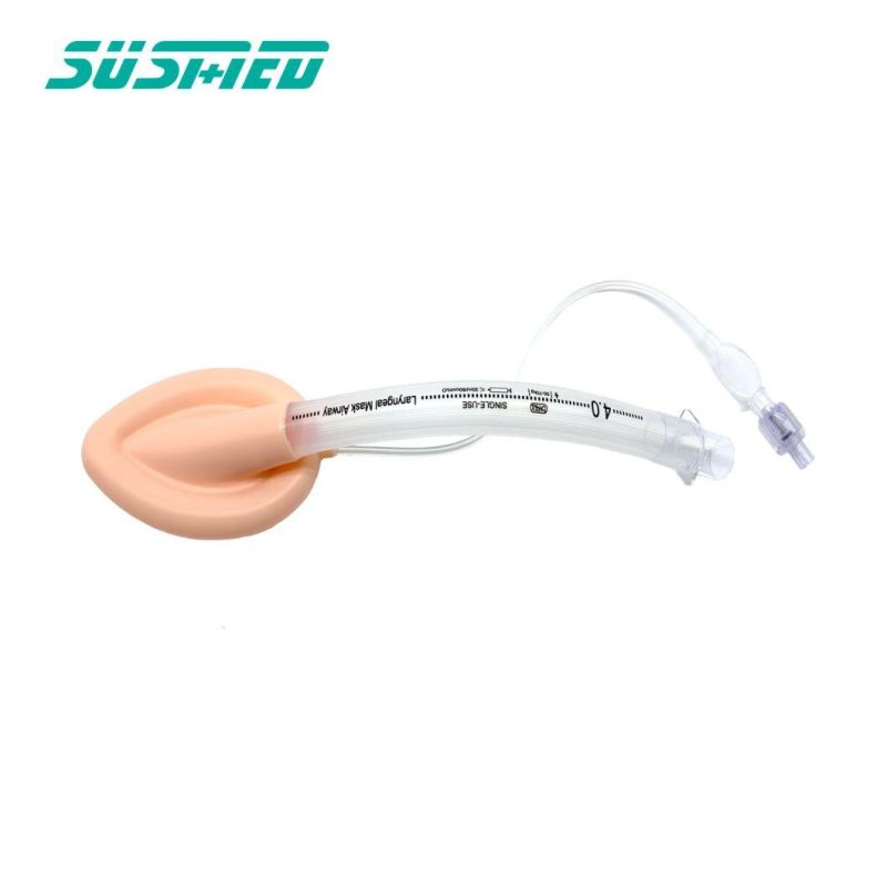 Cheap Disposable Double Lumen Laryngeal Mask Airway
