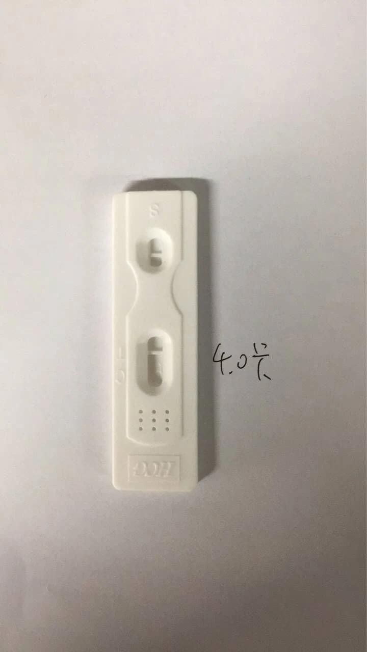 Pregnant HCG Rapid Test Trip