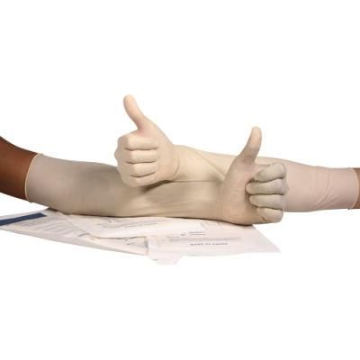 Medical Disposable Latex Gynaecological Glove Sterile with Powder Free for Hospital Use