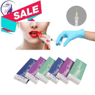 Filler for Lips Enlargement Wrinkles Gel Syringe Cross Linked Hyaluronic Acid Injection