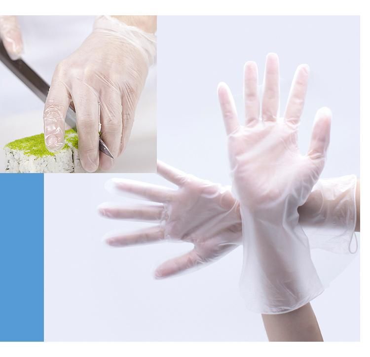 Disposable Blue Vinyl Gloves Power Free Medical Gloves Household Gloves