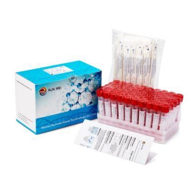 ABS Handle Test Nylon Swab for Sampling Nasal and Oral, Nasal Swab Transport Swab with Medium Sterilized