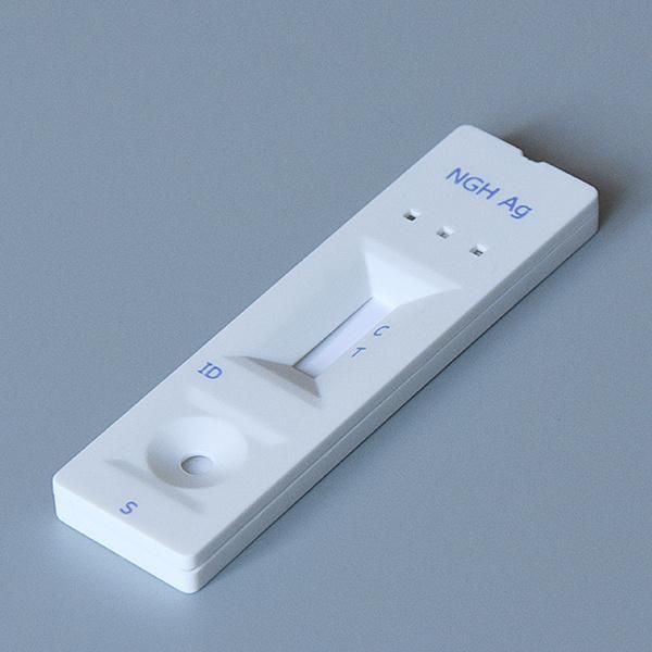 at Home Gonorrhea Test Neisseria Gonorrhoeae Antigen Test