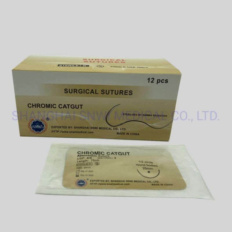 Surgical Suture (Catgut, Silk, Nylon, PGA, PDA) with CE, ISO & FDA Nylon with Needle