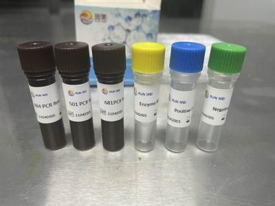 Pneumophila Lp1 Type Nucleic Acid Detection Pre-Packed Kit (fluorescence PCR method)