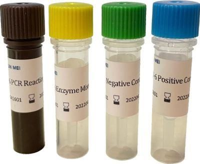 Pre-Packed Kit for Detection of Triple Nucleic Acid for Pertussis, Parapertussis, and Bordetella Huskeri (fluorescence PCR method)