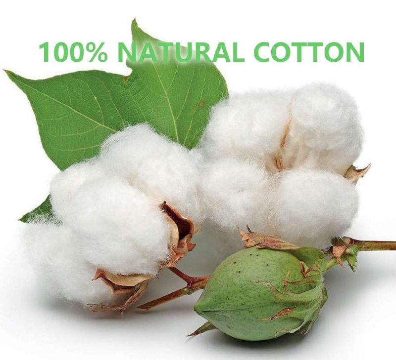 Environmentally Friendly Bamboo Sticks Cotton Ear Nasal Buds Medical Swabs